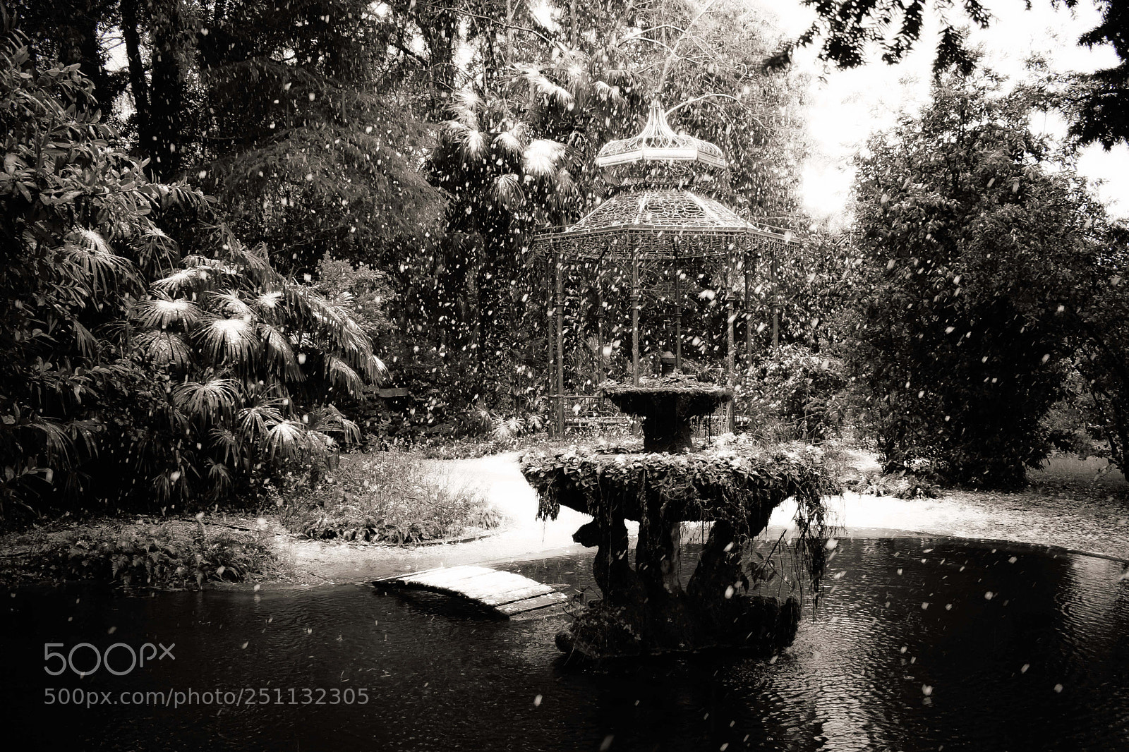 Nikon D5300 sample photo. Frozen dream photography