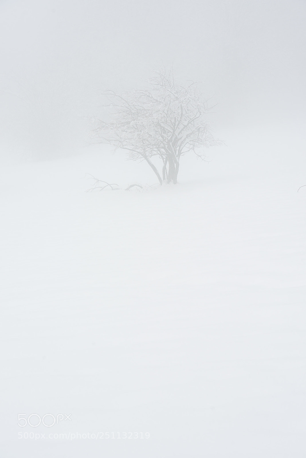 Nikon D800 sample photo. La solitudine dei numeri photography