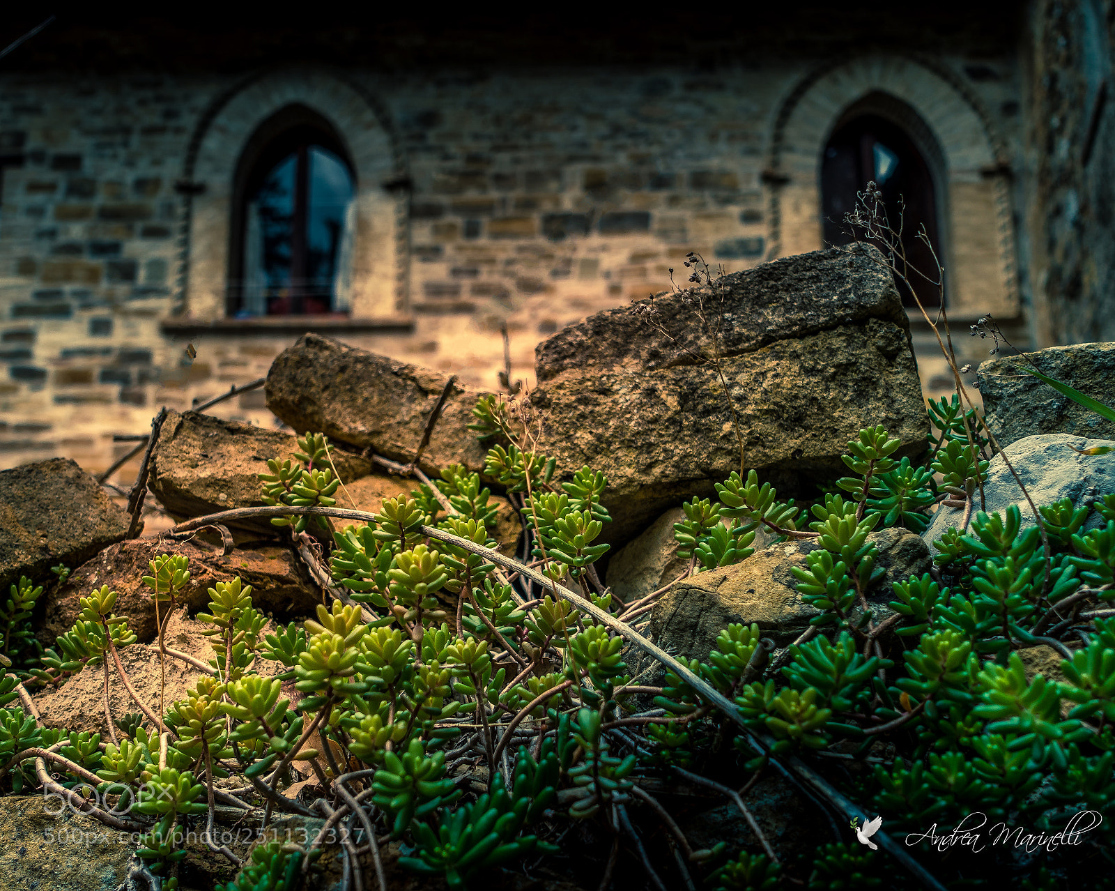Sony Cyber-shot DSC-RX100 III sample photo. Medieval photography