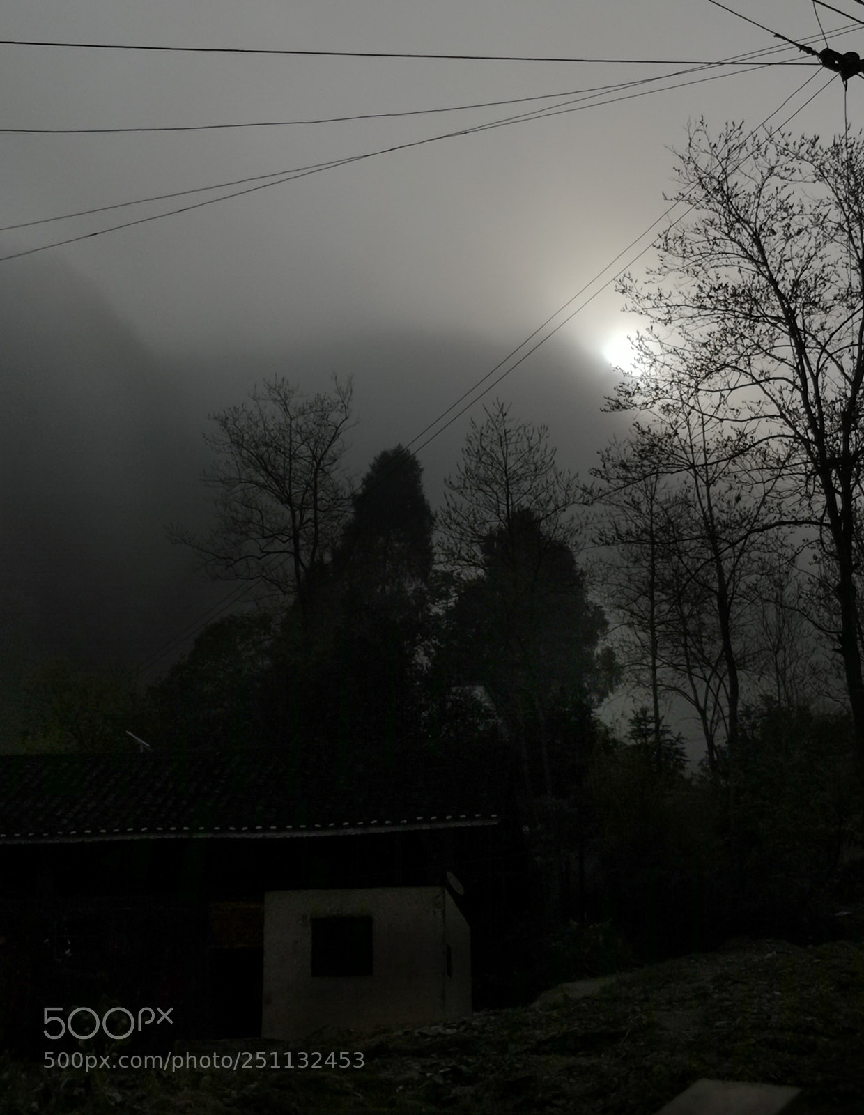 HUAWEI Mate 10 sample photo. Untitled photography