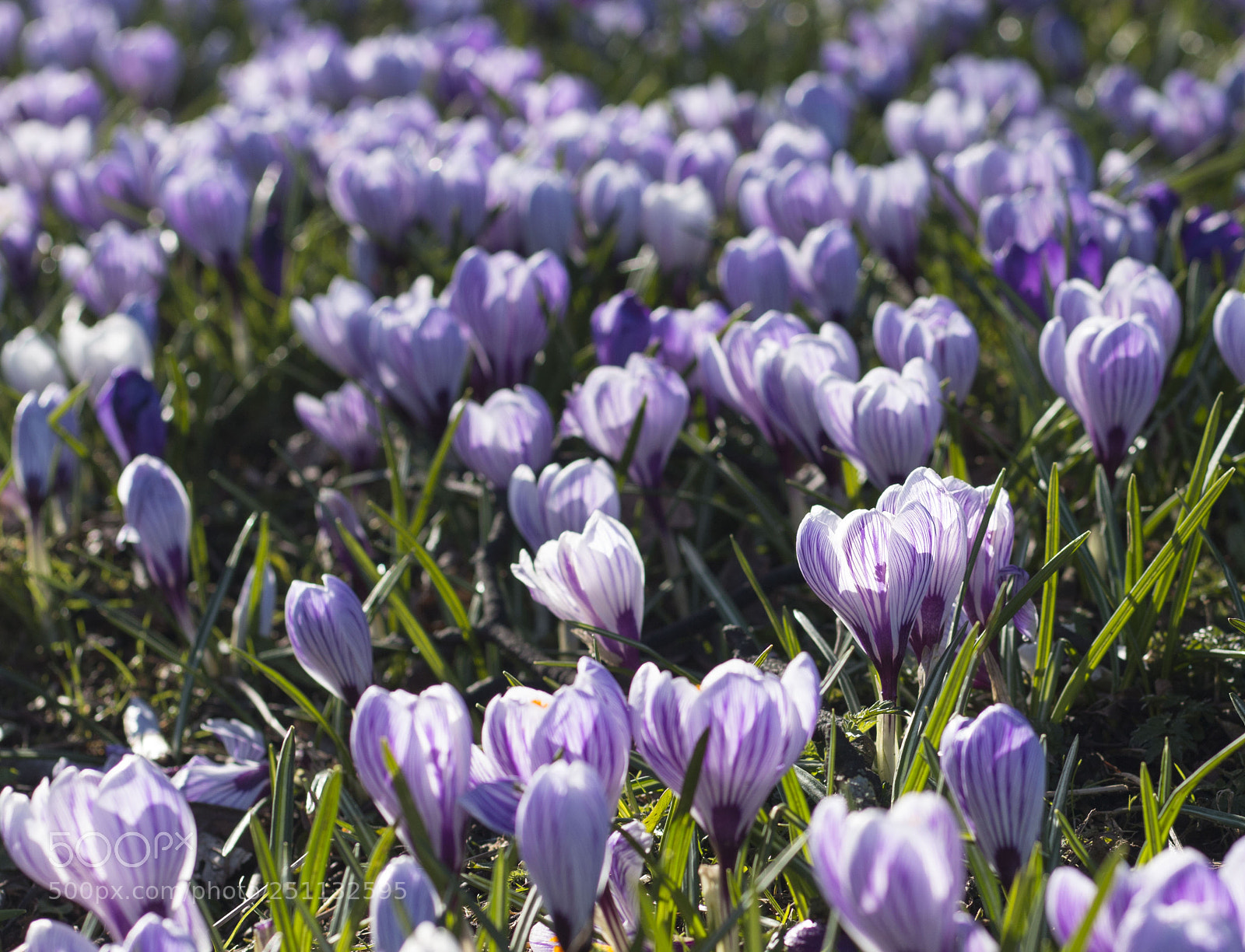 Canon EOS 70D sample photo. On the slope photography