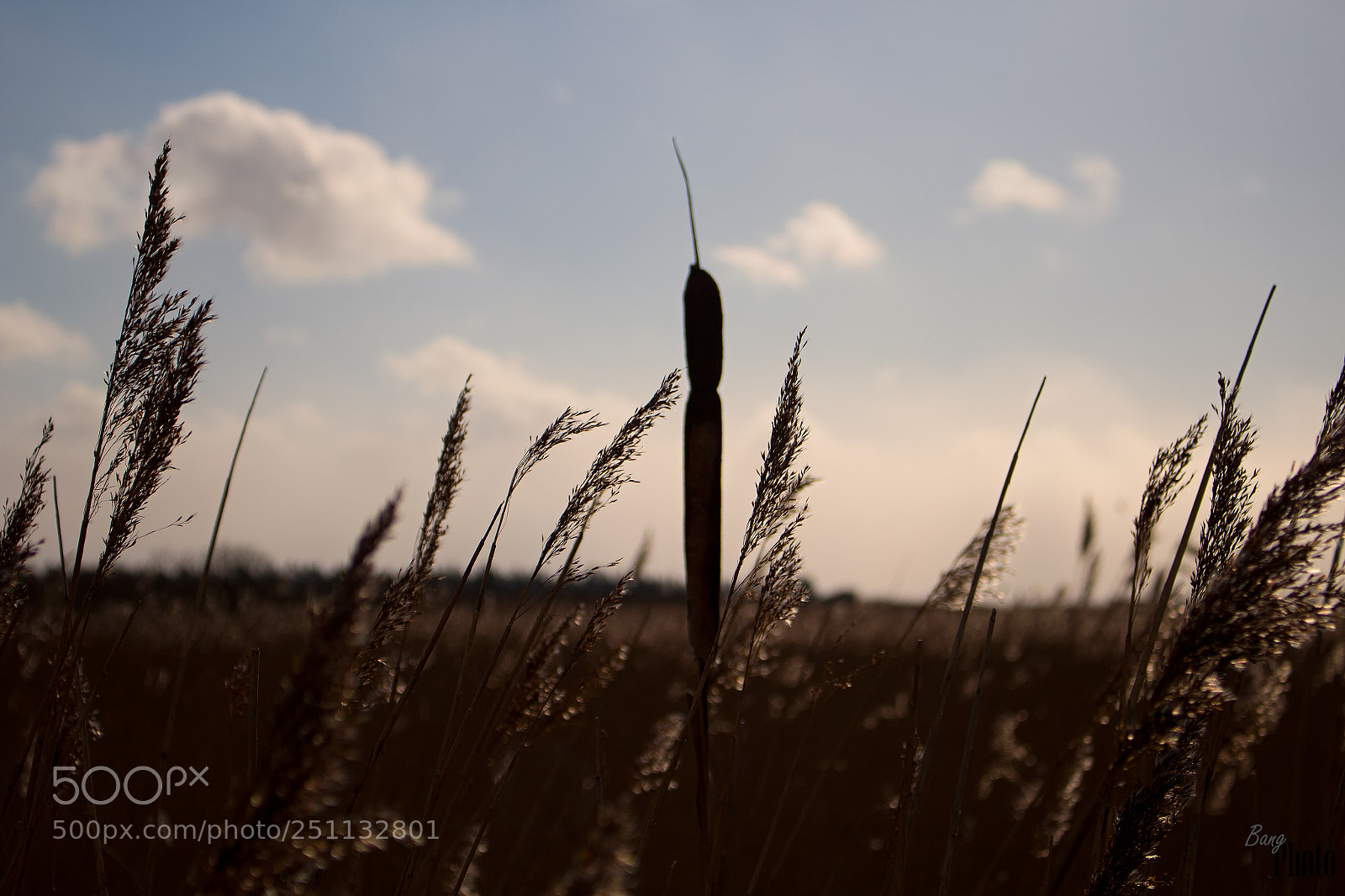 Canon EOS 100D (EOS Rebel SL1 / EOS Kiss X7) sample photo. Wild nature photography