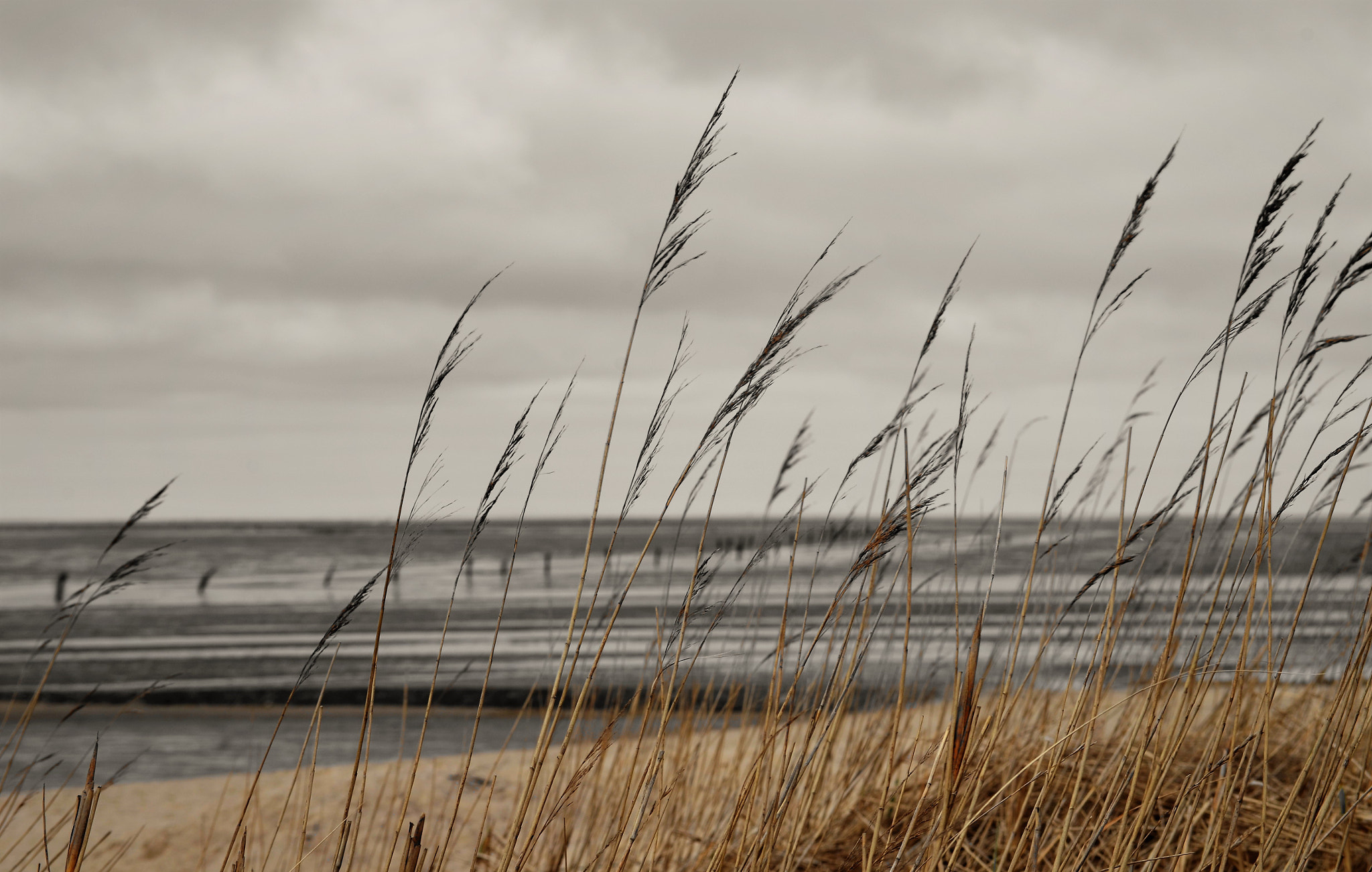 Nikon D5100 sample photo. Coast - line photography