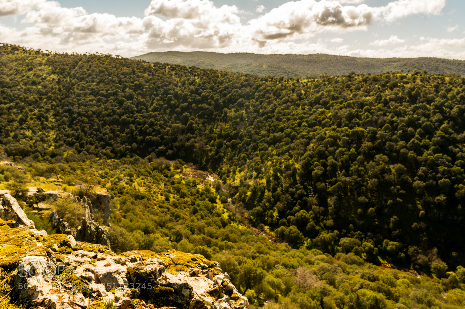 Nikon D7100 sample photo. Cimbarra photography