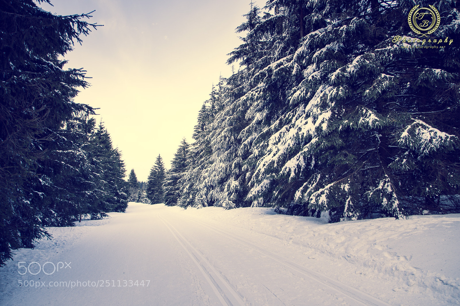 Nikon D7200 sample photo. Winter auf dem schneekopf photography