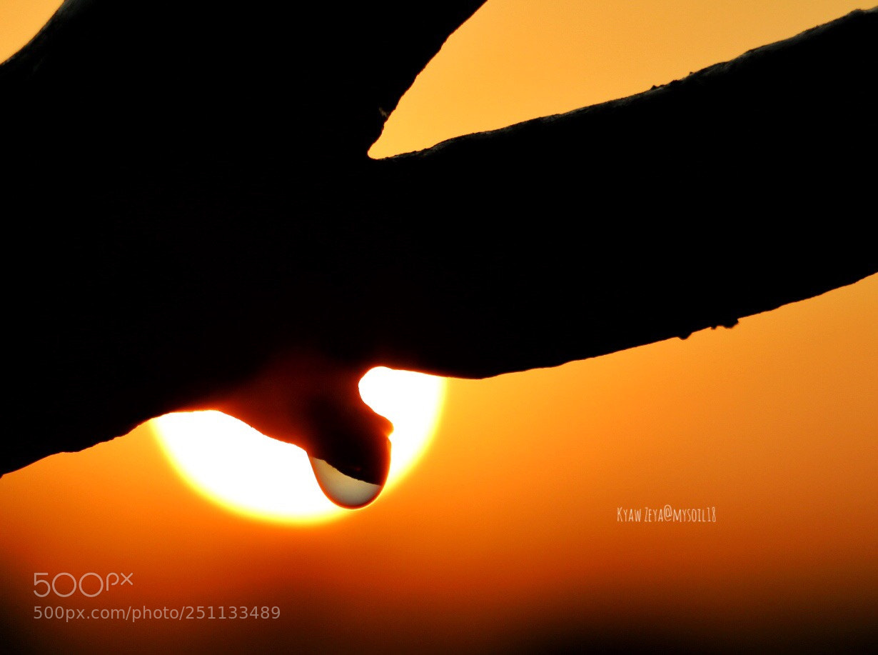 Canon EOS 70D sample photo. Sunrise dew photography