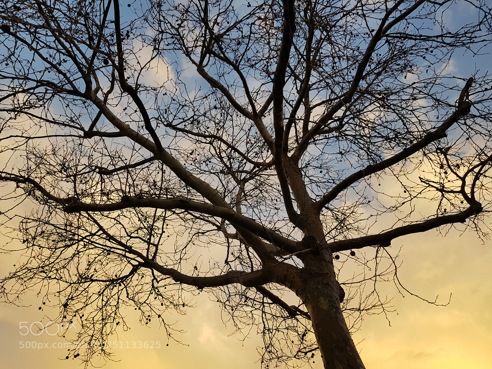 Samsung Galaxy S8+ sample photo. Untitled photography