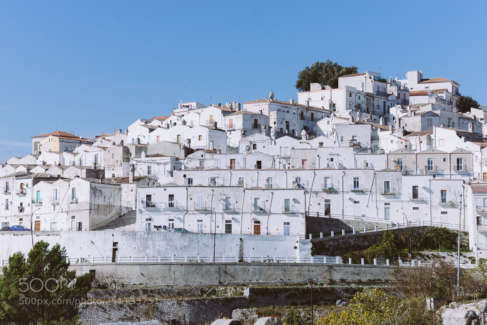 Nikon D610 sample photo. White town photography