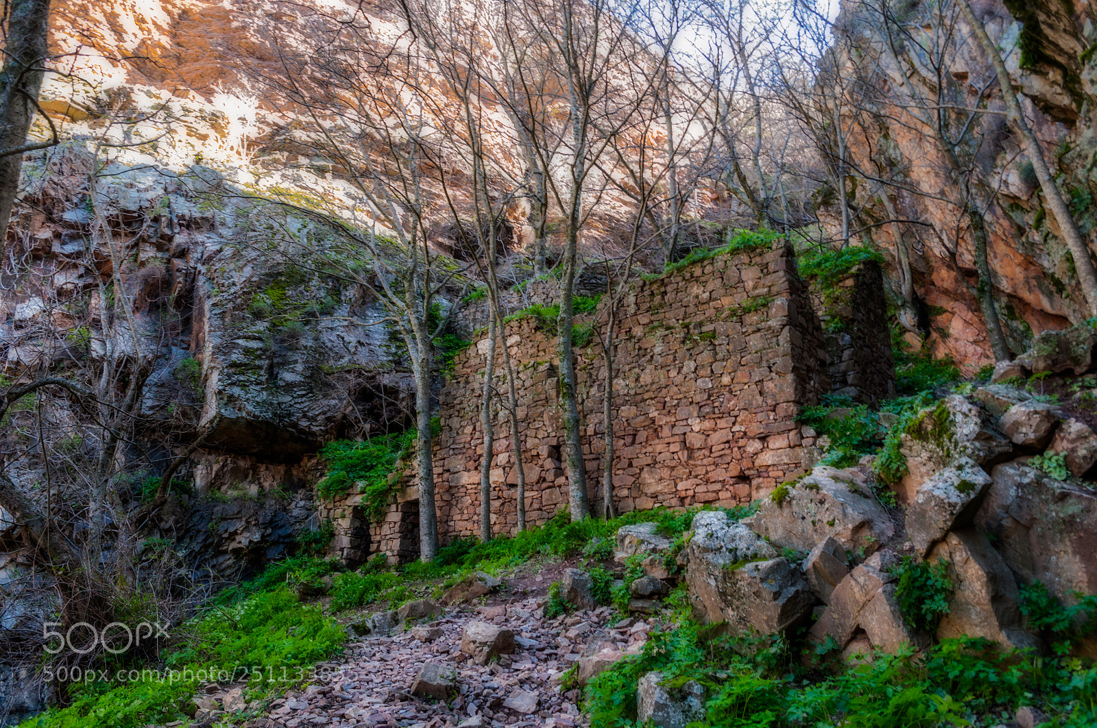 Nikon D5000 sample photo. Old mill photography