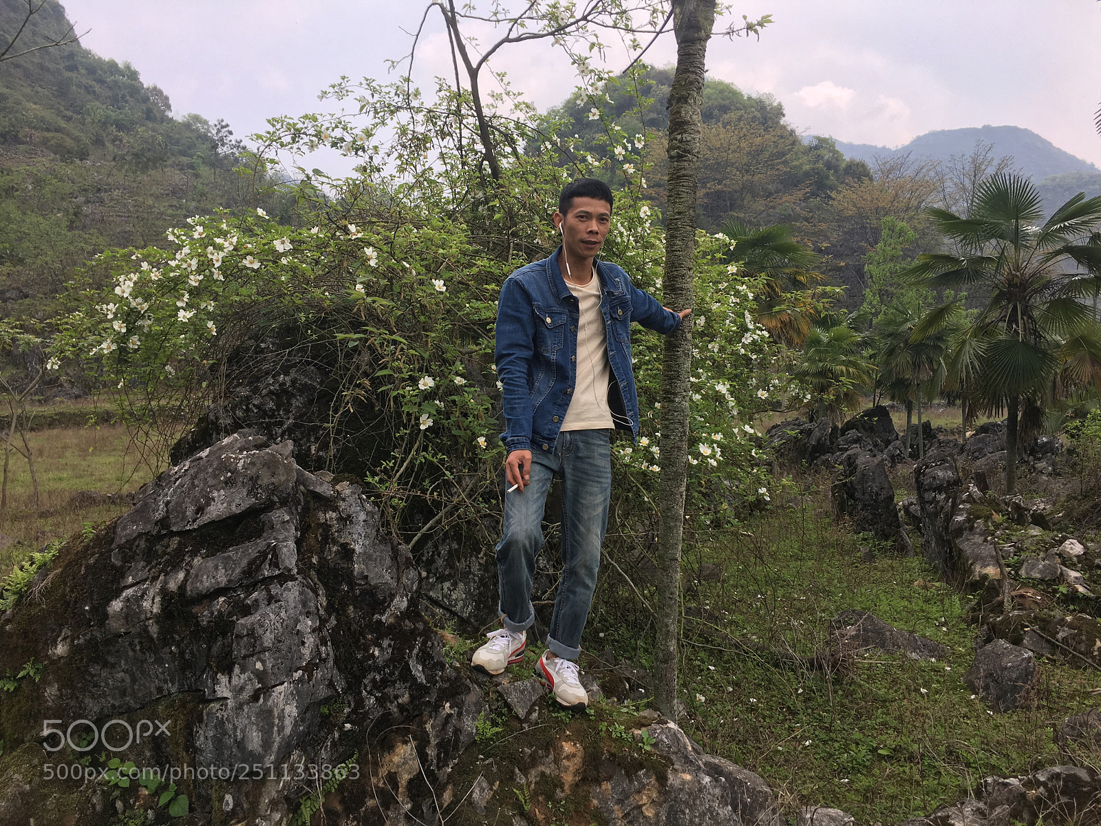Apple iPhone 6s Plus sample photo. Untitled photography