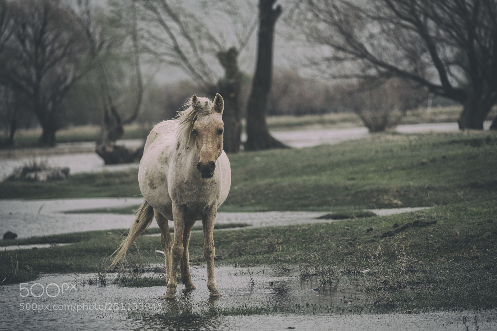 Fujifilm X-T2 sample photo. Untitled photography