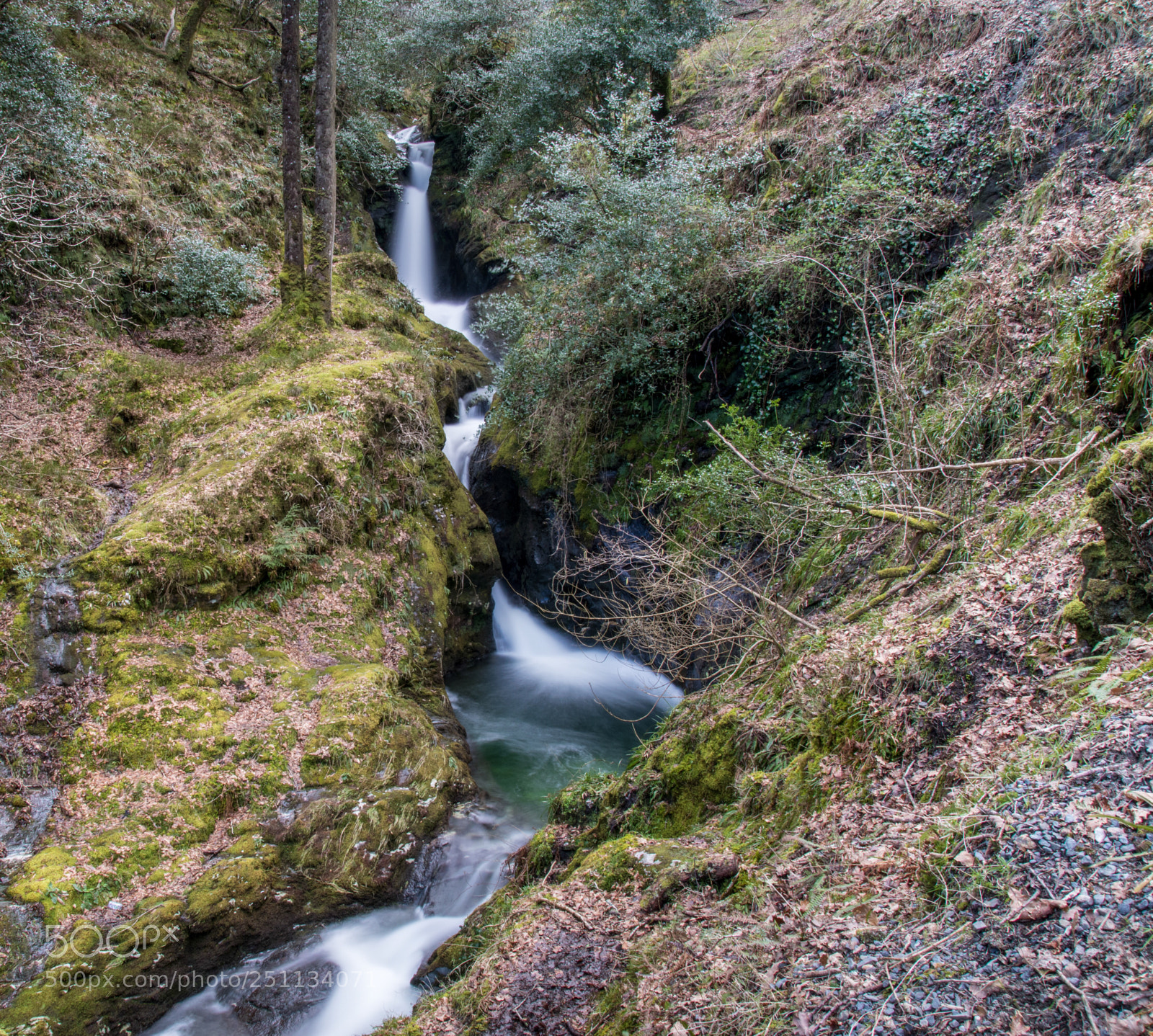 Nikon D5500 sample photo. Step by step photography
