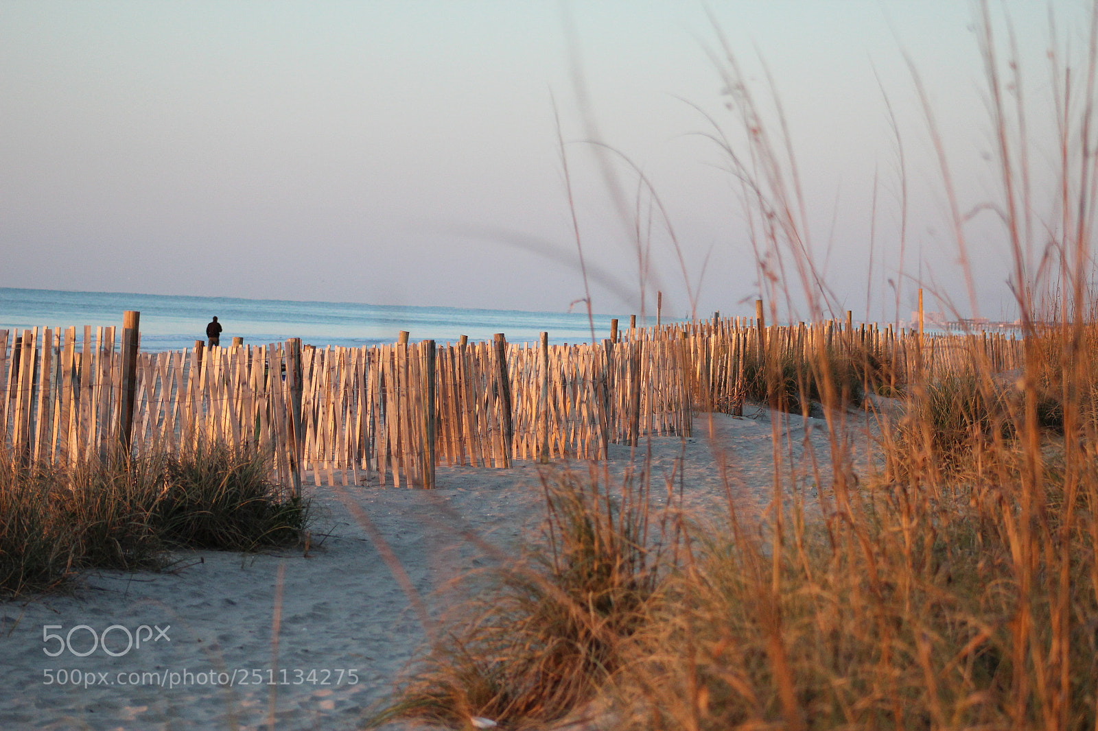Canon EF 75-300mm f/4-5.6 sample photo. Img photography
