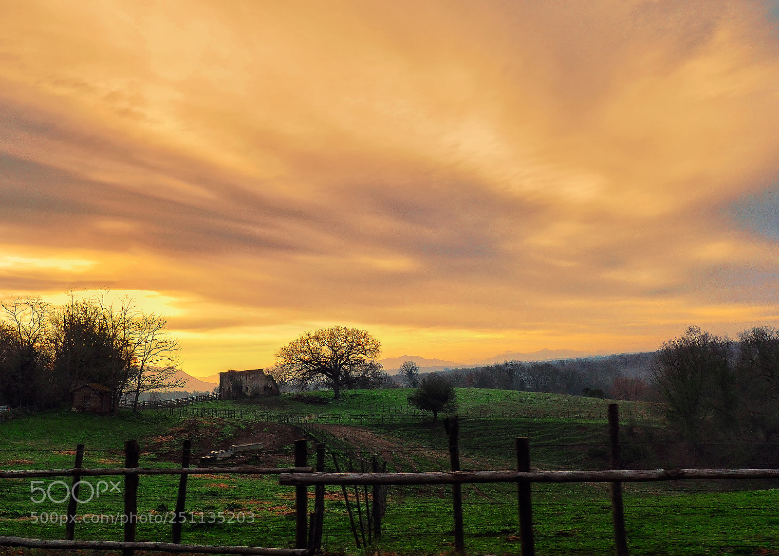 Olympus OM-D E-M10 II sample photo. Farm morning photography
