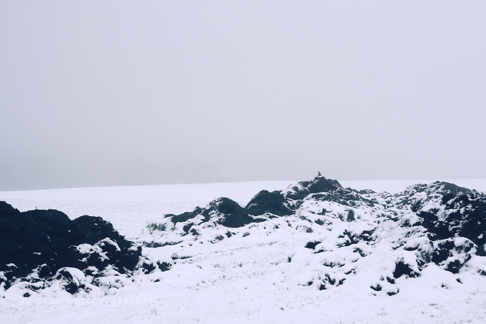 Nikon D7500 sample photo. The lone watchman photography