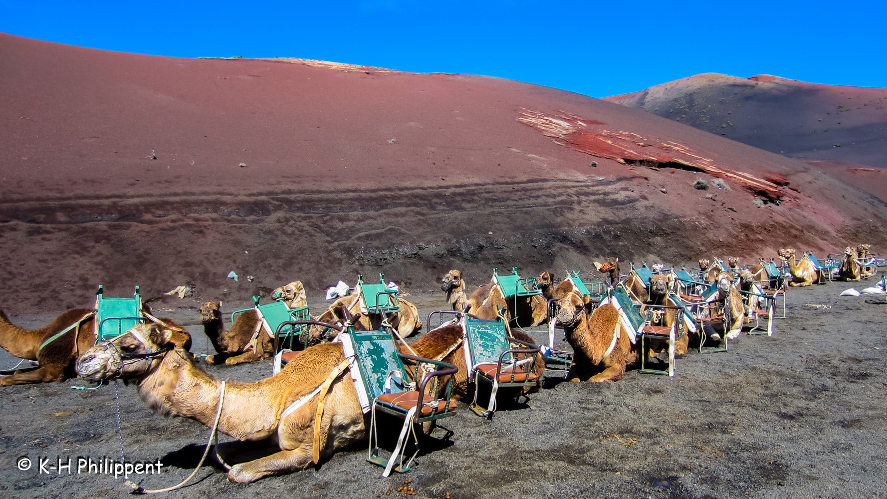 Canon PowerShot ELPH 300 HS (IXUS 220 HS / IXY 410F) sample photo. Lanzarote (spain), the camels / die kamele photography