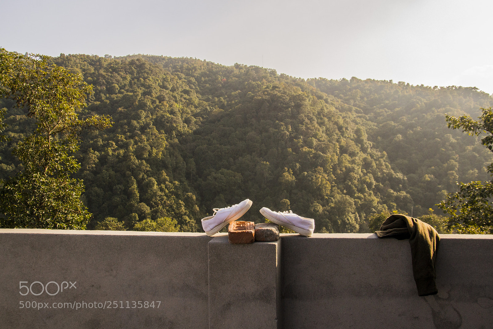 Nikon D3100 sample photo. Dsc photography