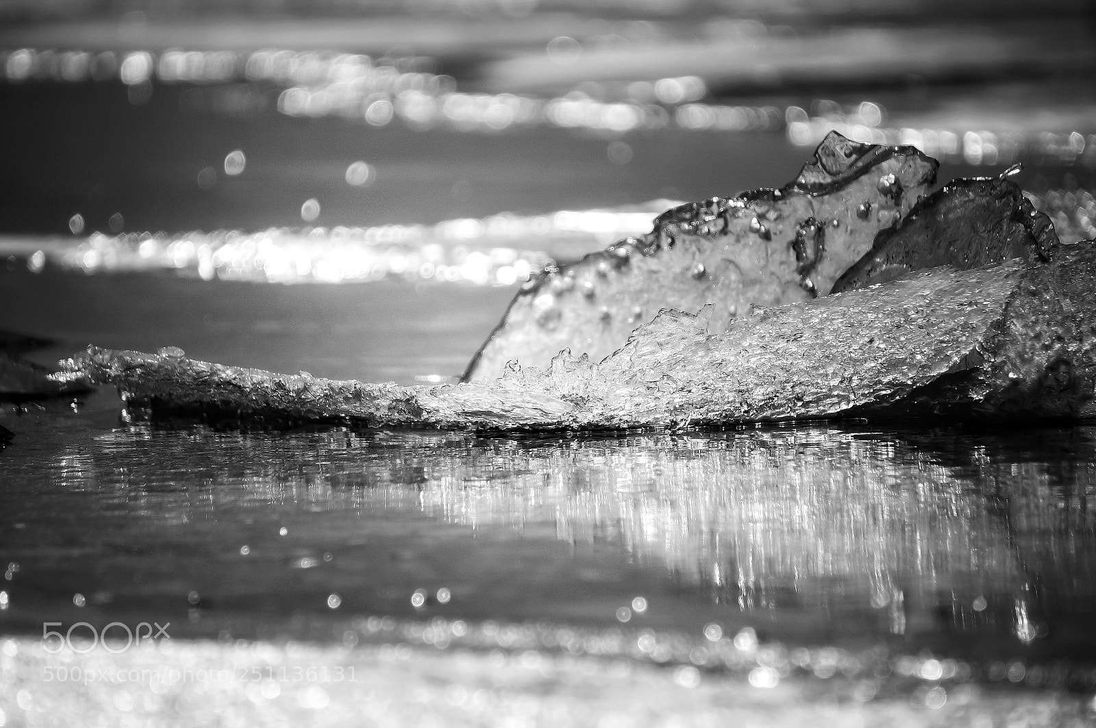 Sony Alpha NEX-6 sample photo. Ice photography