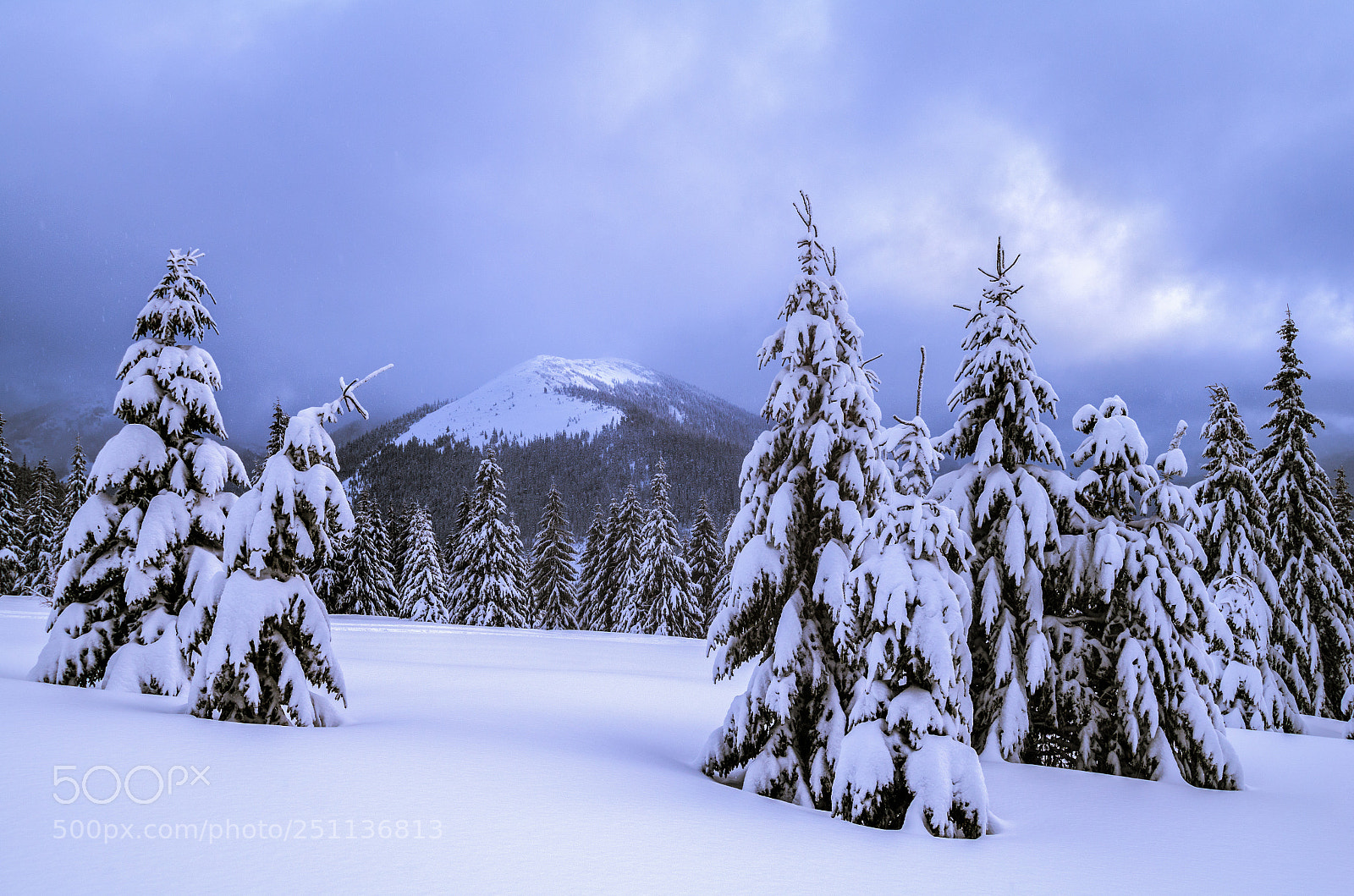 Nikon D7000 sample photo. Snowy photography