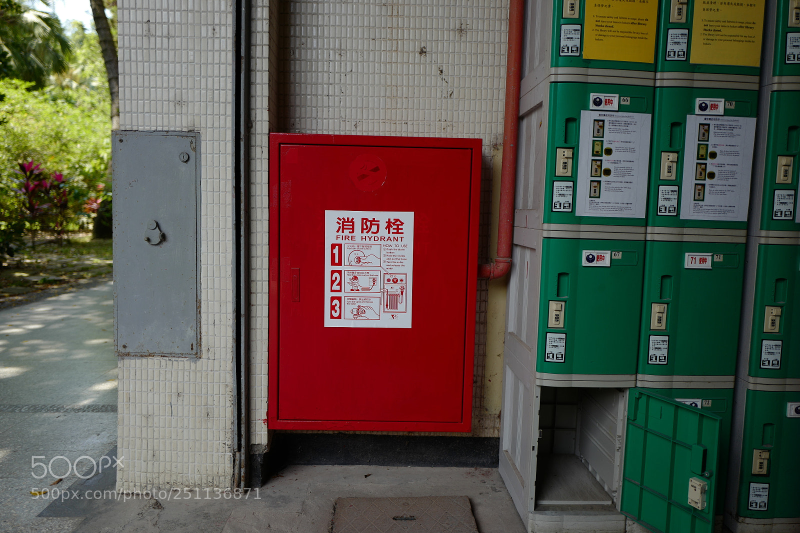 Leica Q (Typ 116) sample photo. 這個破舊的學校僅存的紅綠黃生機 photography