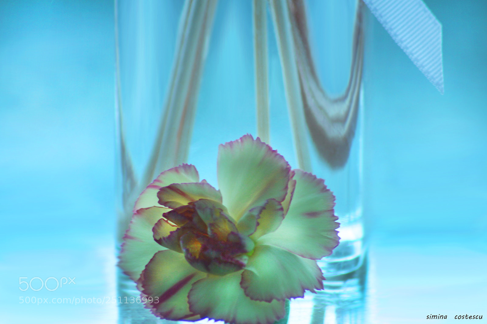 Canon EOS 50D sample photo. Relax photography