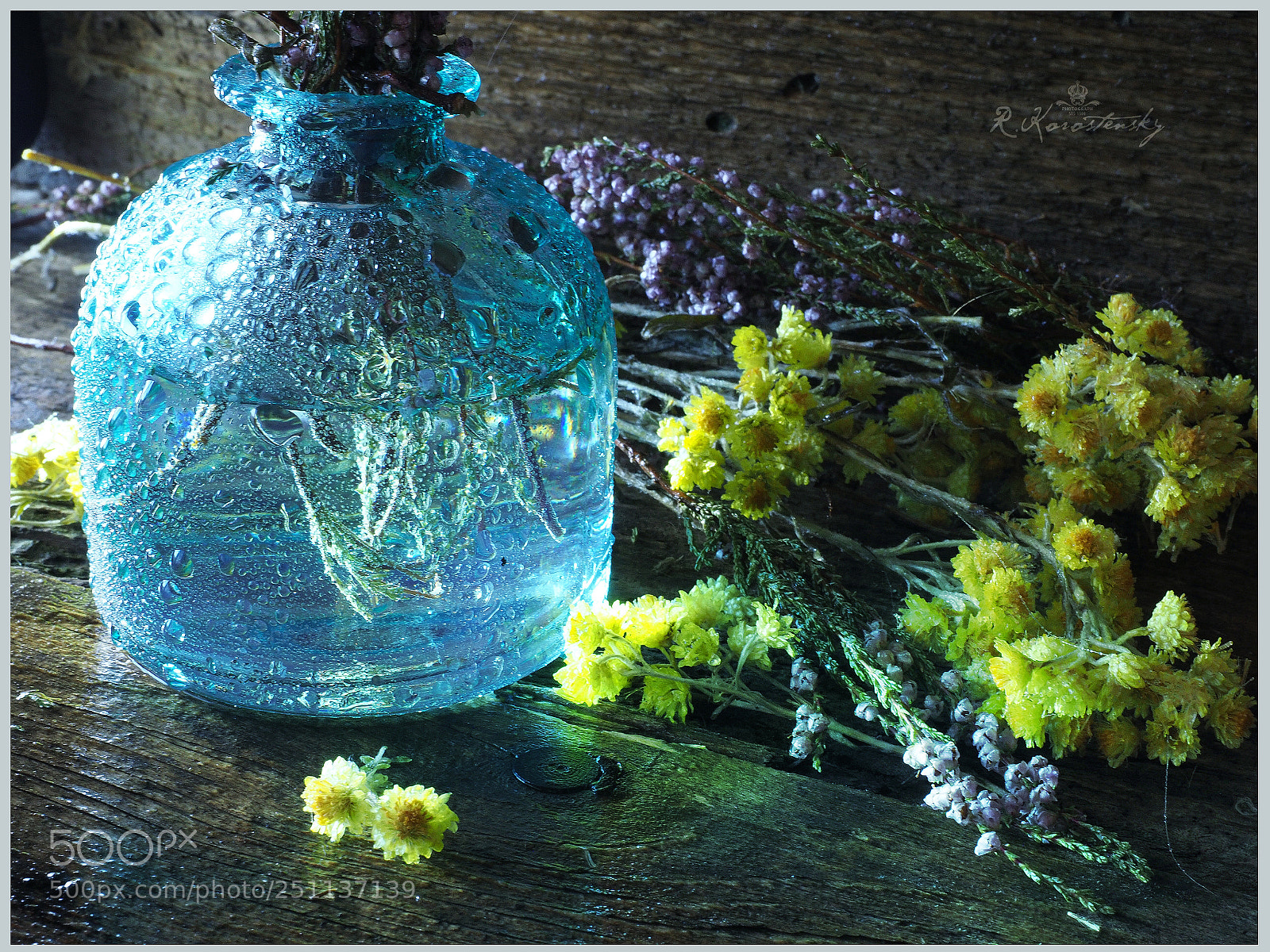 Olympus OM-D E-M1 Mark II sample photo. Blue light photography