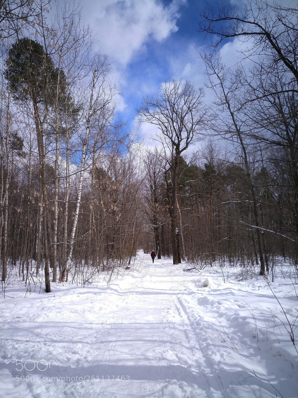 OnePlus A3003 sample photo. Timiryasevskiy park, spring 2018 photography