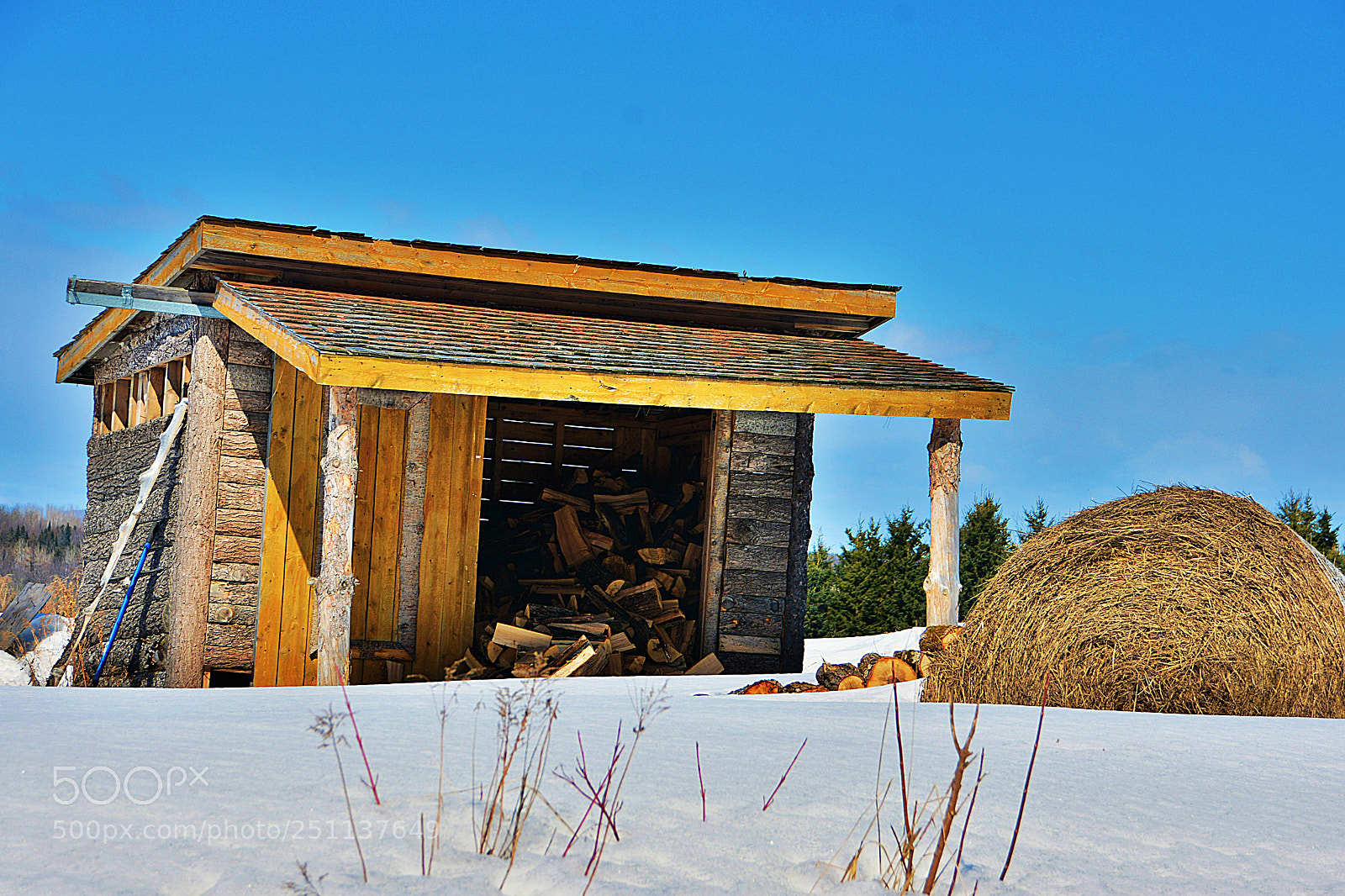 Nikon D7100 sample photo. Du bois et du photography