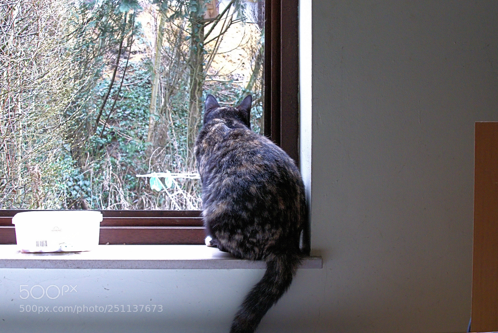 Panasonic Lumix DMC-FZ1000 sample photo. Jpgfff () photography