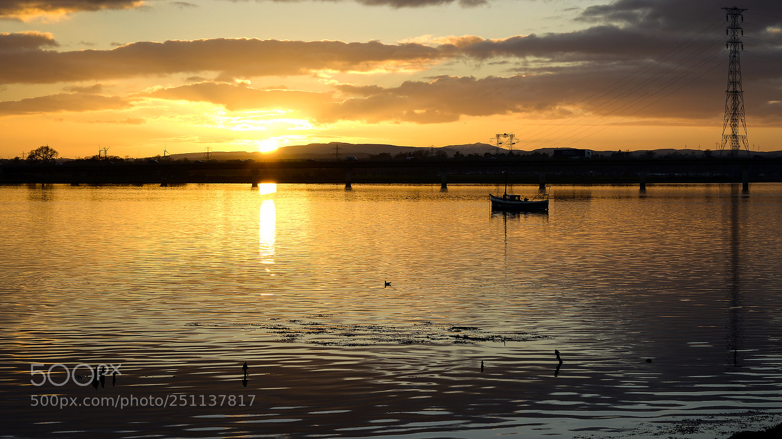 Nikon D800 sample photo. River forth photography