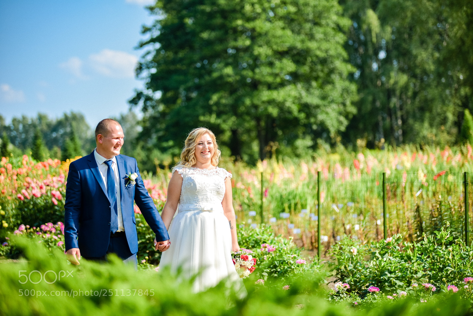 Nikon D800 sample photo. A&r wedding photos photography