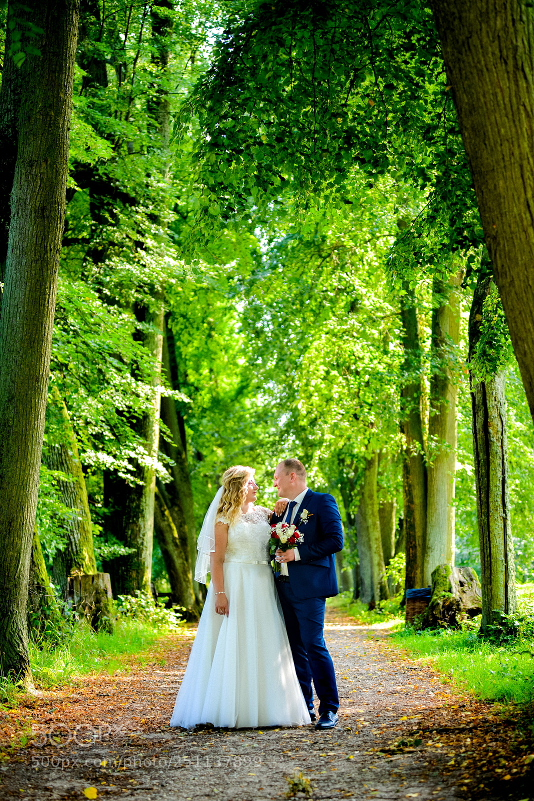 Nikon D800 sample photo. A&r wedding photos photography