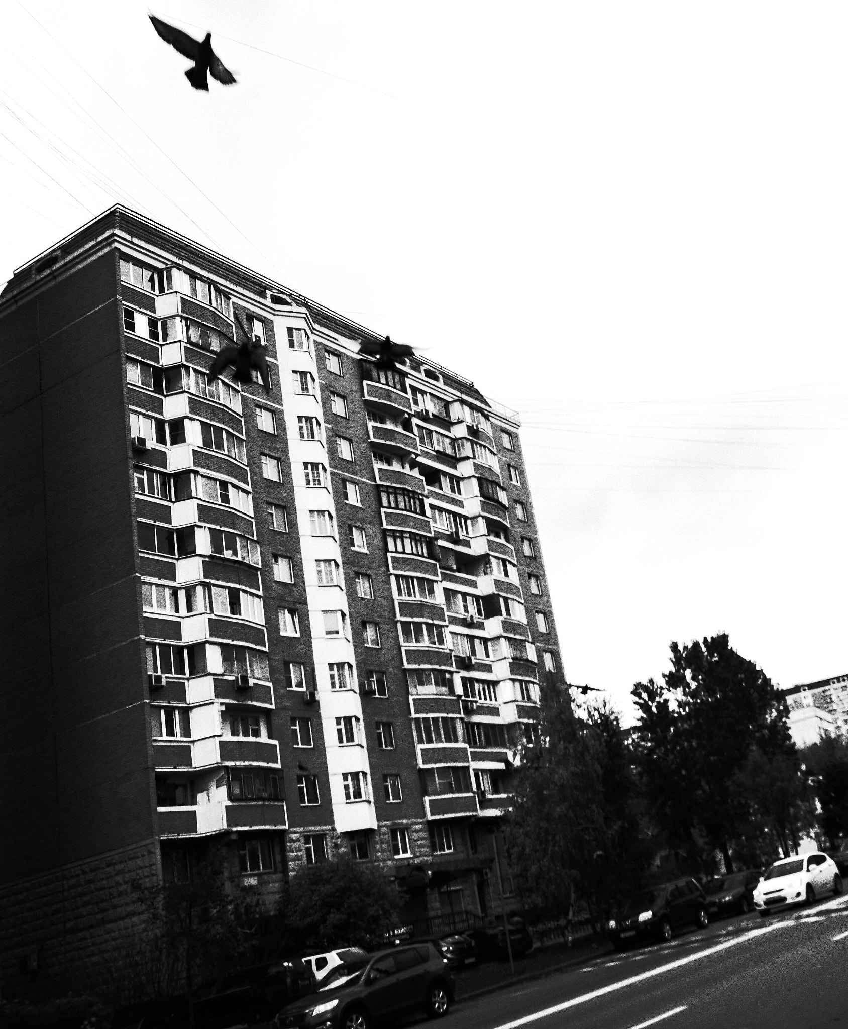 Ricoh GR DIGITAL 4 sample photo. Bffc o photography