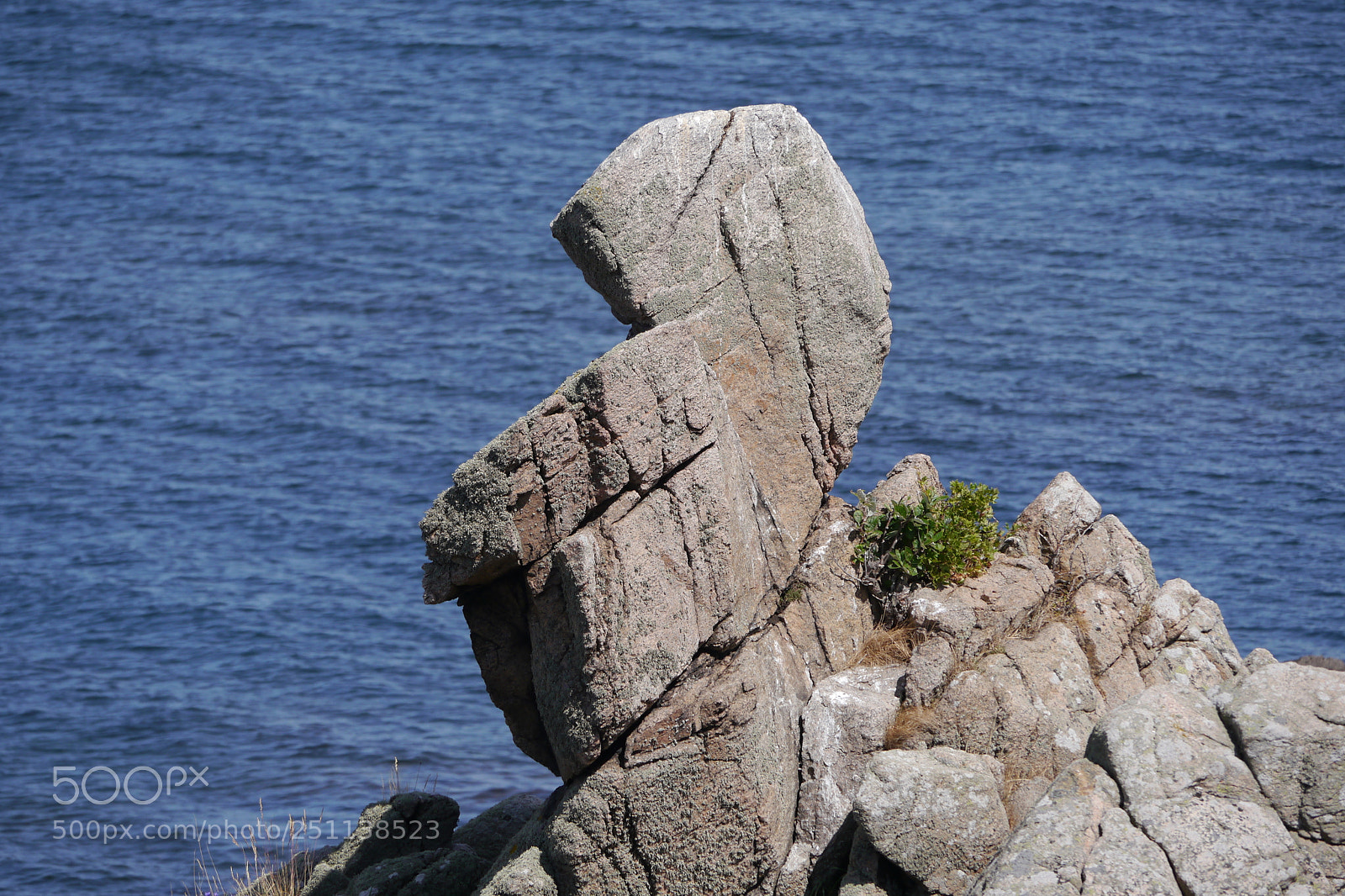 Panasonic Lumix DMC-G5 sample photo. P photography
