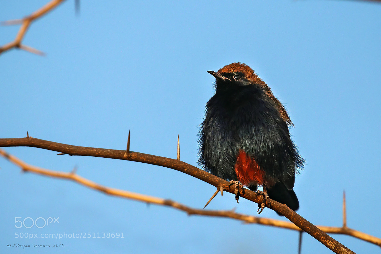 Canon EOS 80D sample photo. ... photography