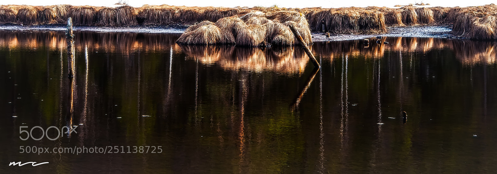 Nikon D800 sample photo. Impression of the moorlands photography
