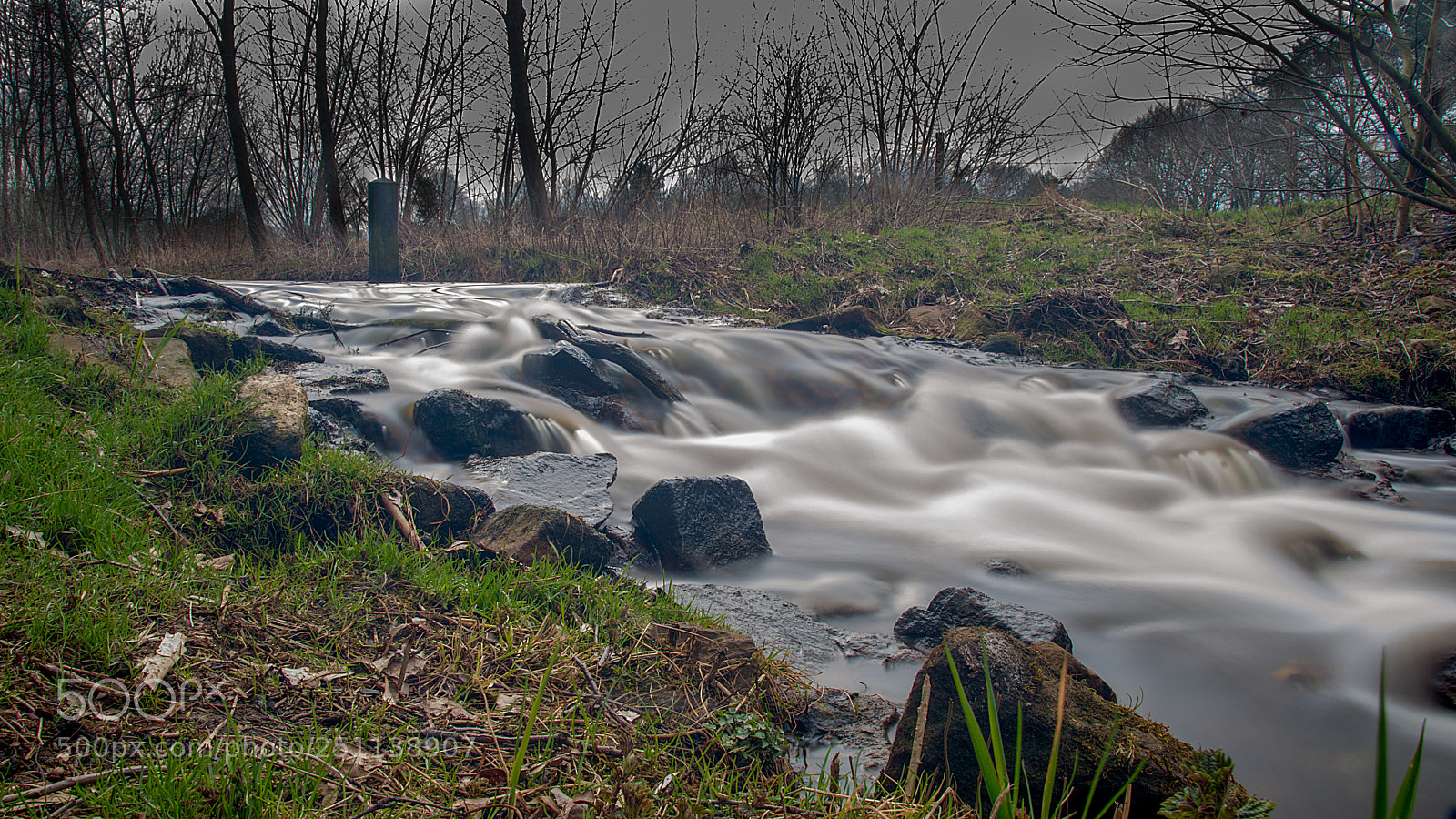 Nikon D500 sample photo. My first time with photography