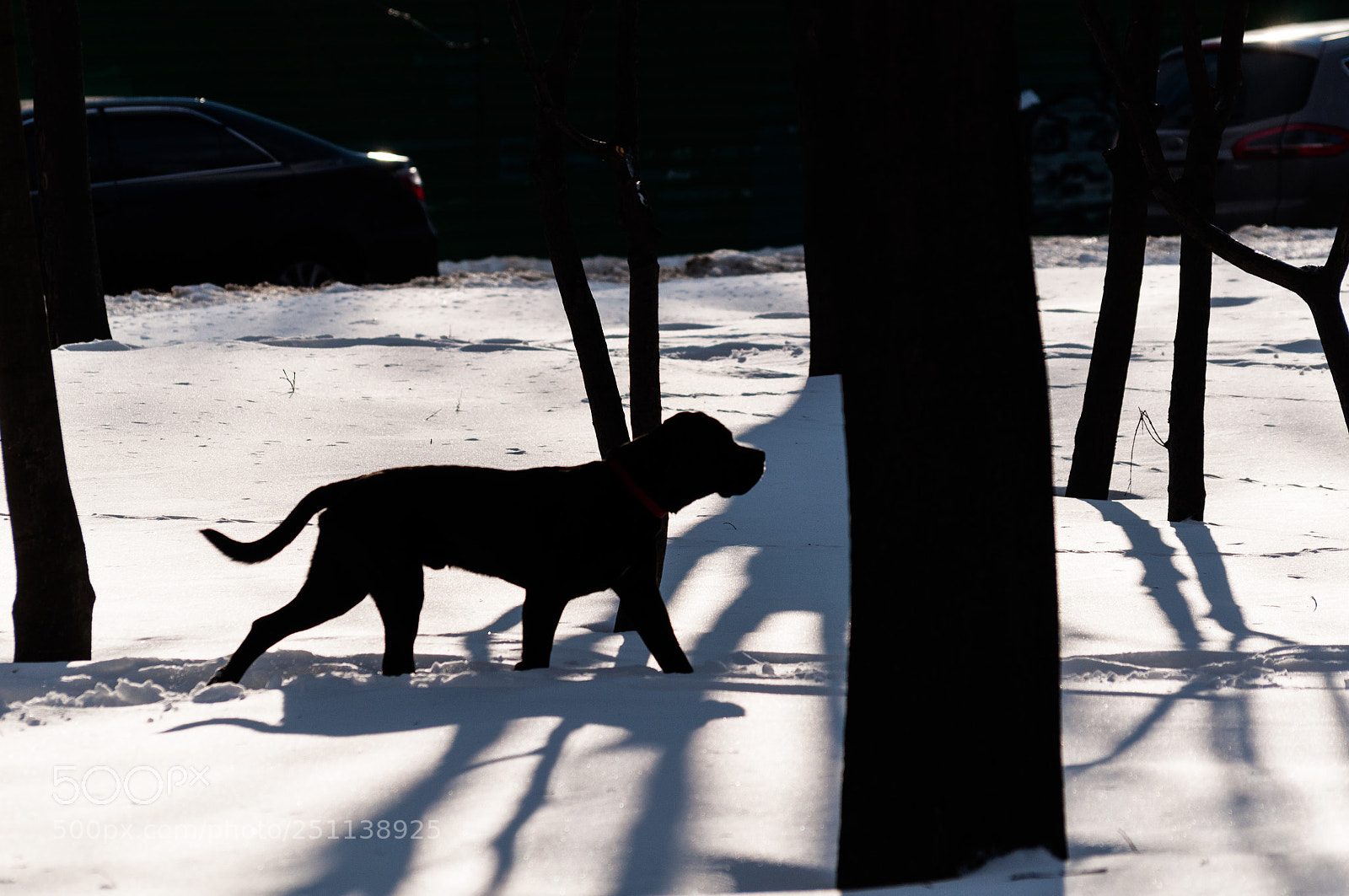 Nikon D5000 sample photo. Dsc photography