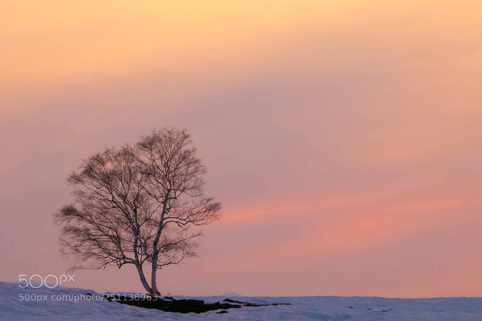 Canon EOS 80D sample photo. Gathering dusk photography