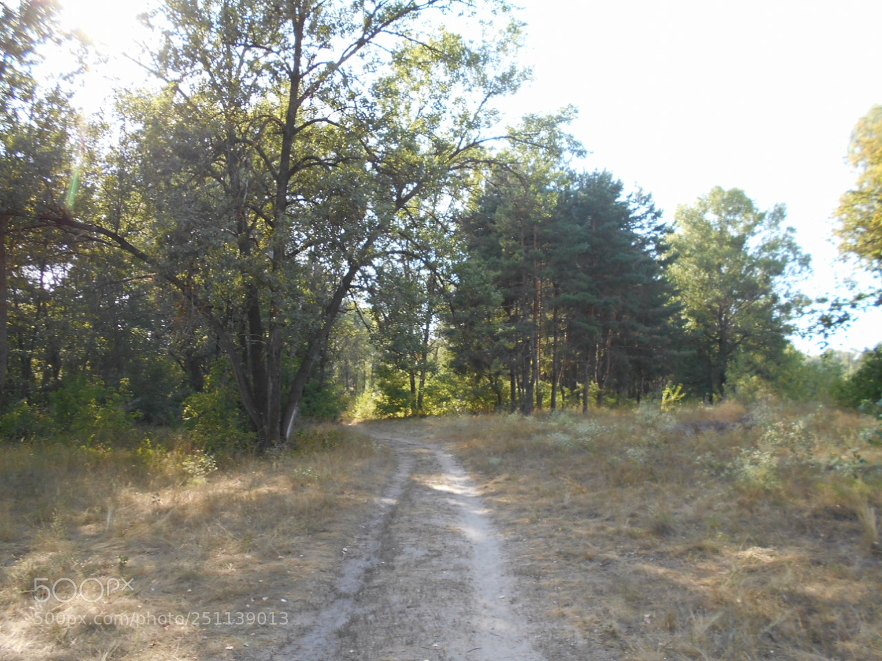 Nikon Coolpix A100 sample photo. Orig photography
