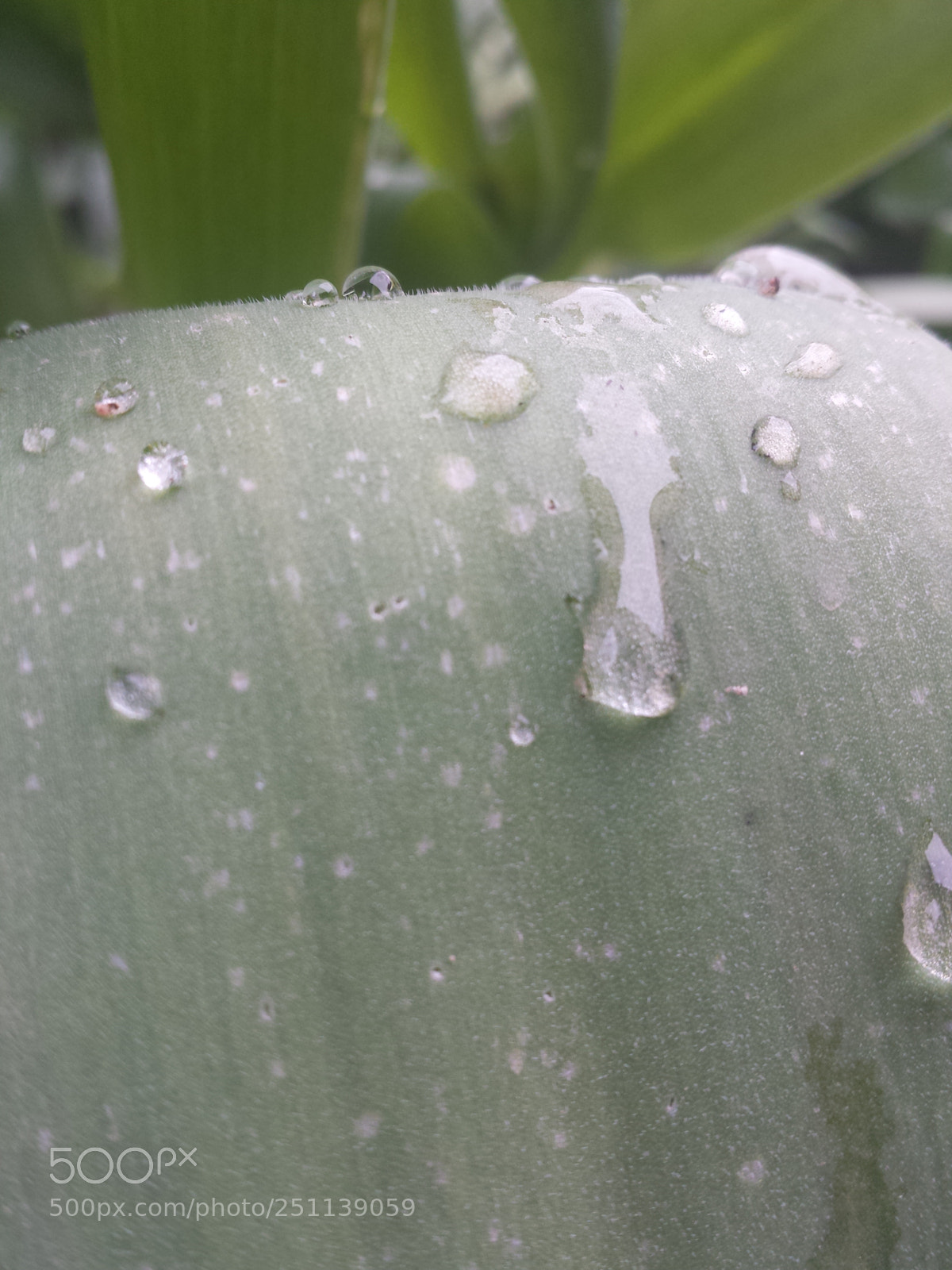 Samsung Galaxy S4 sample photo. Untitled photography