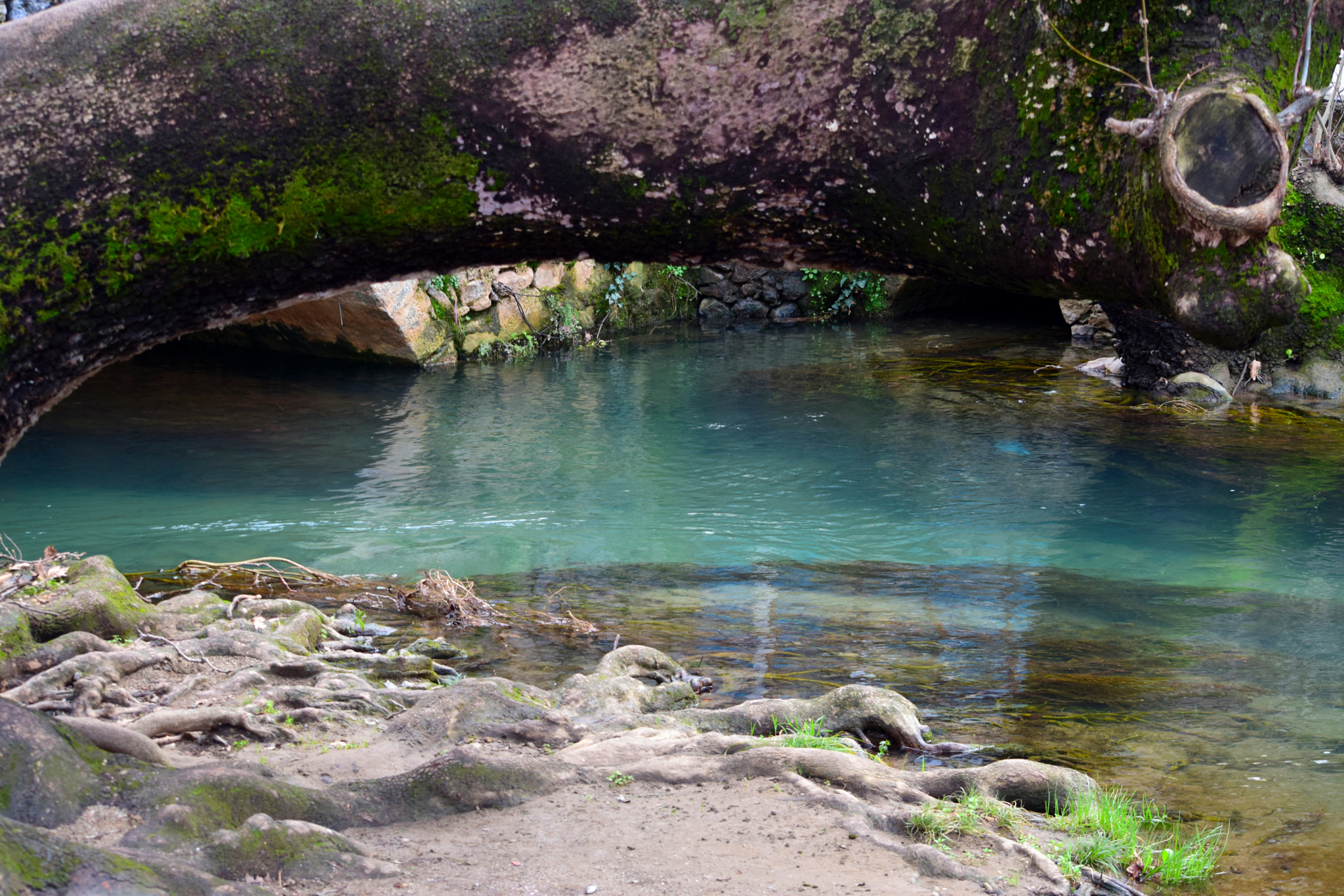 Nikon D5300 sample photo. Livadia photography