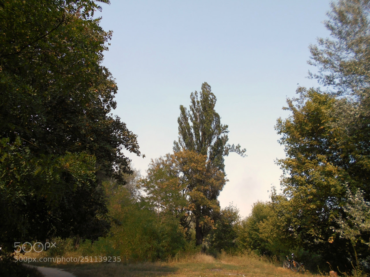 Nikon Coolpix A100 sample photo. Cea orig photography