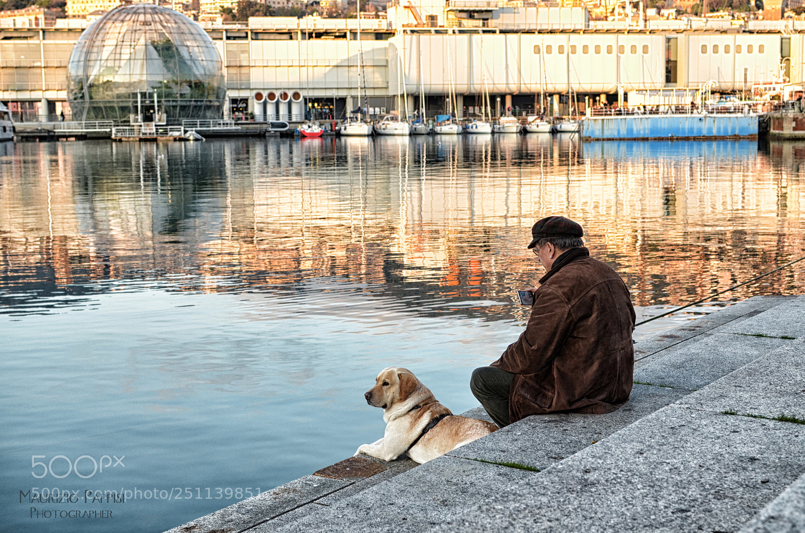 Nikon D5100 sample photo. Loyal friend photography