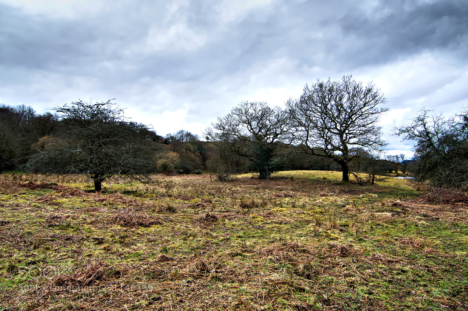 Nikon D3200 sample photo. Rough pasture photography