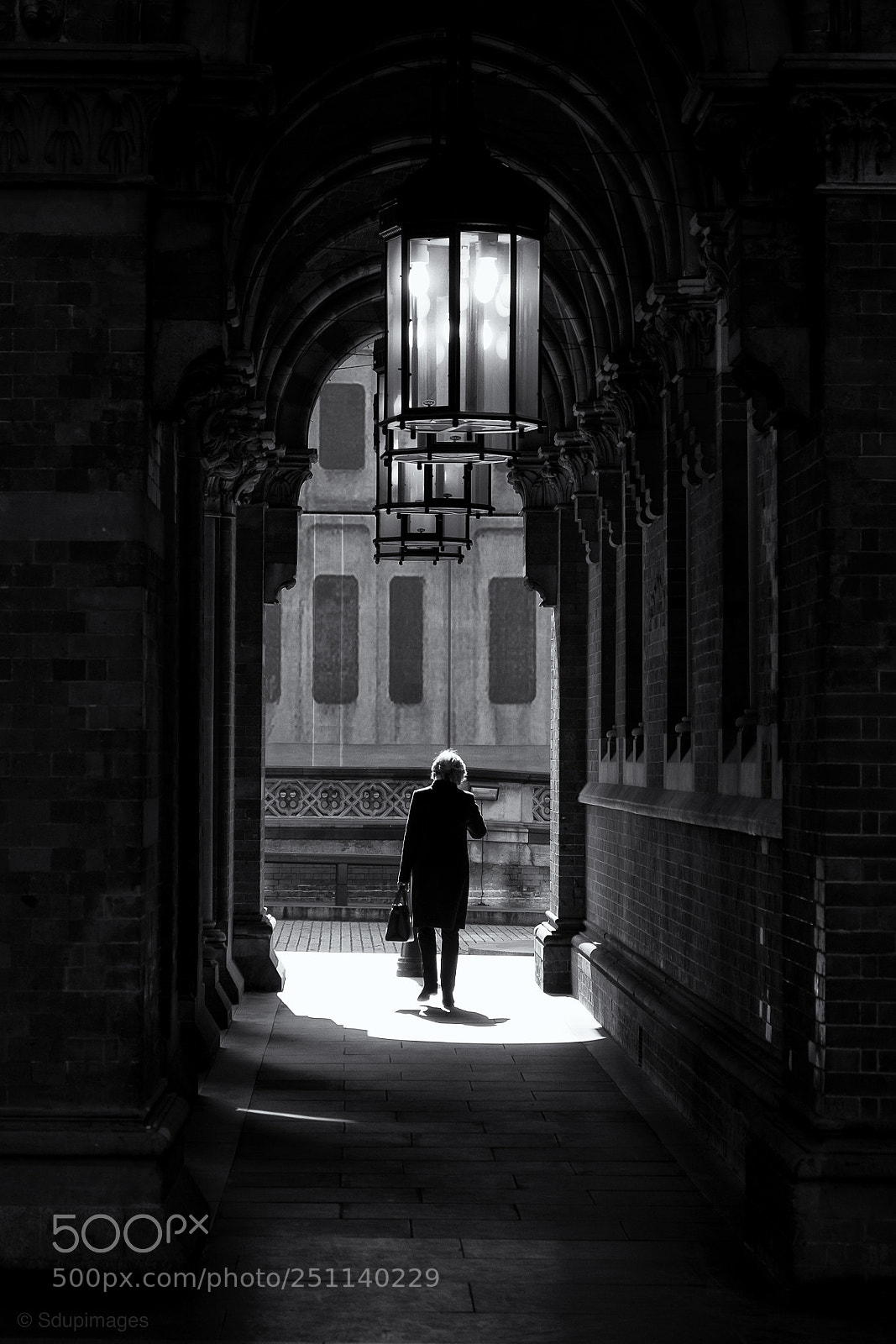 Fujifilm X-T20 sample photo. The light of day photography