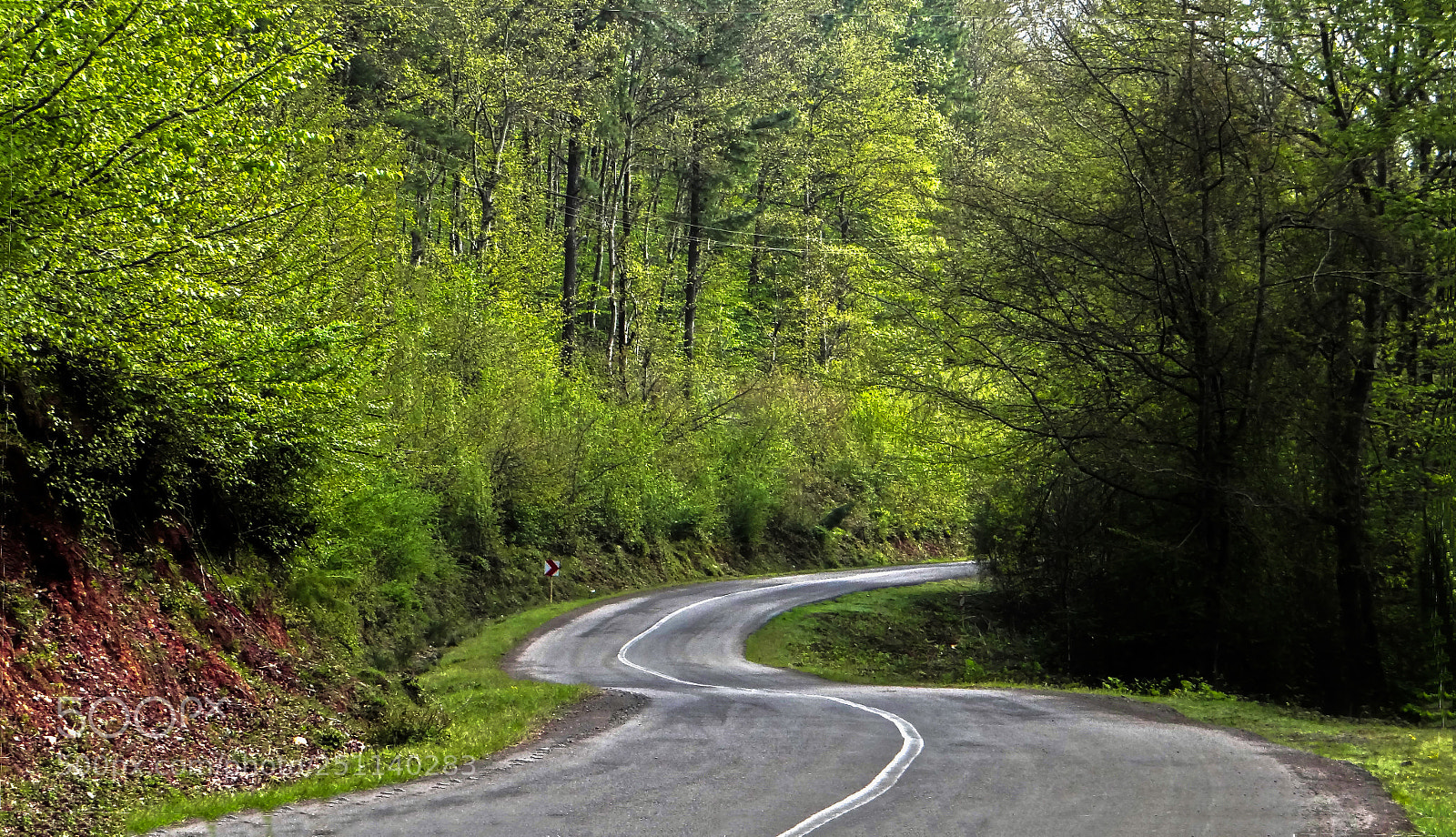 Sony Cyber-shot DSC-HX100V sample photo. Walking along the road photography
