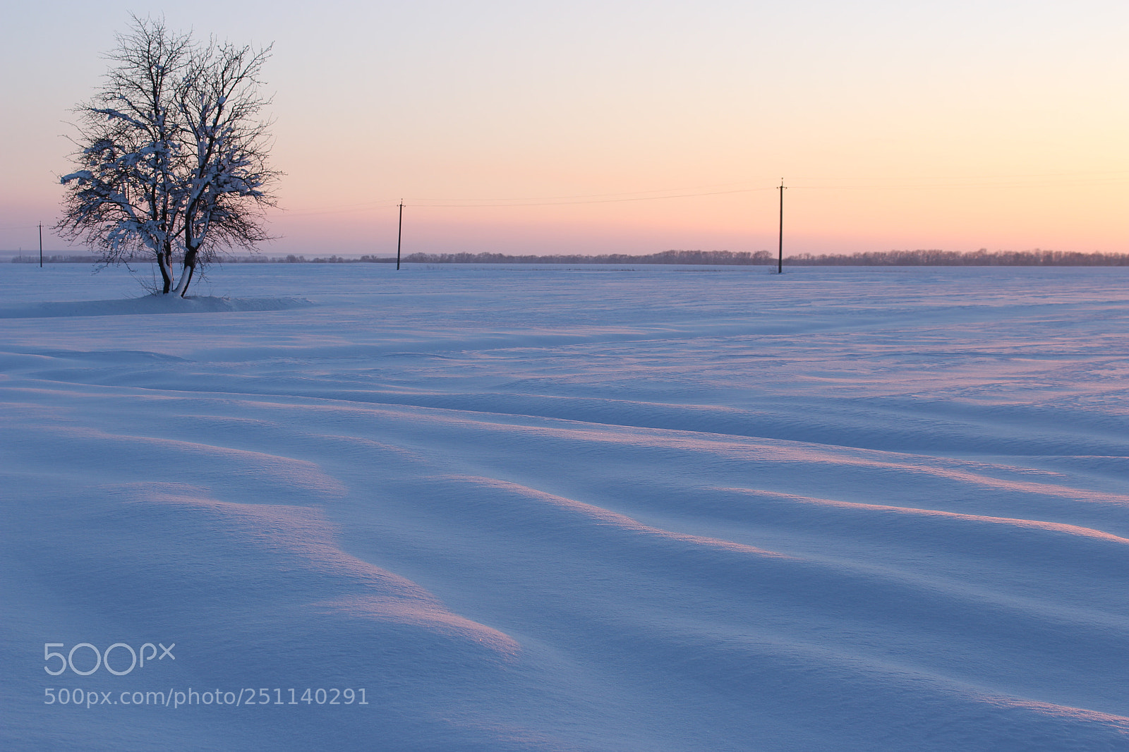 Canon EOS 100D (EOS Rebel SL1 / EOS Kiss X7) sample photo. Snowfield photography