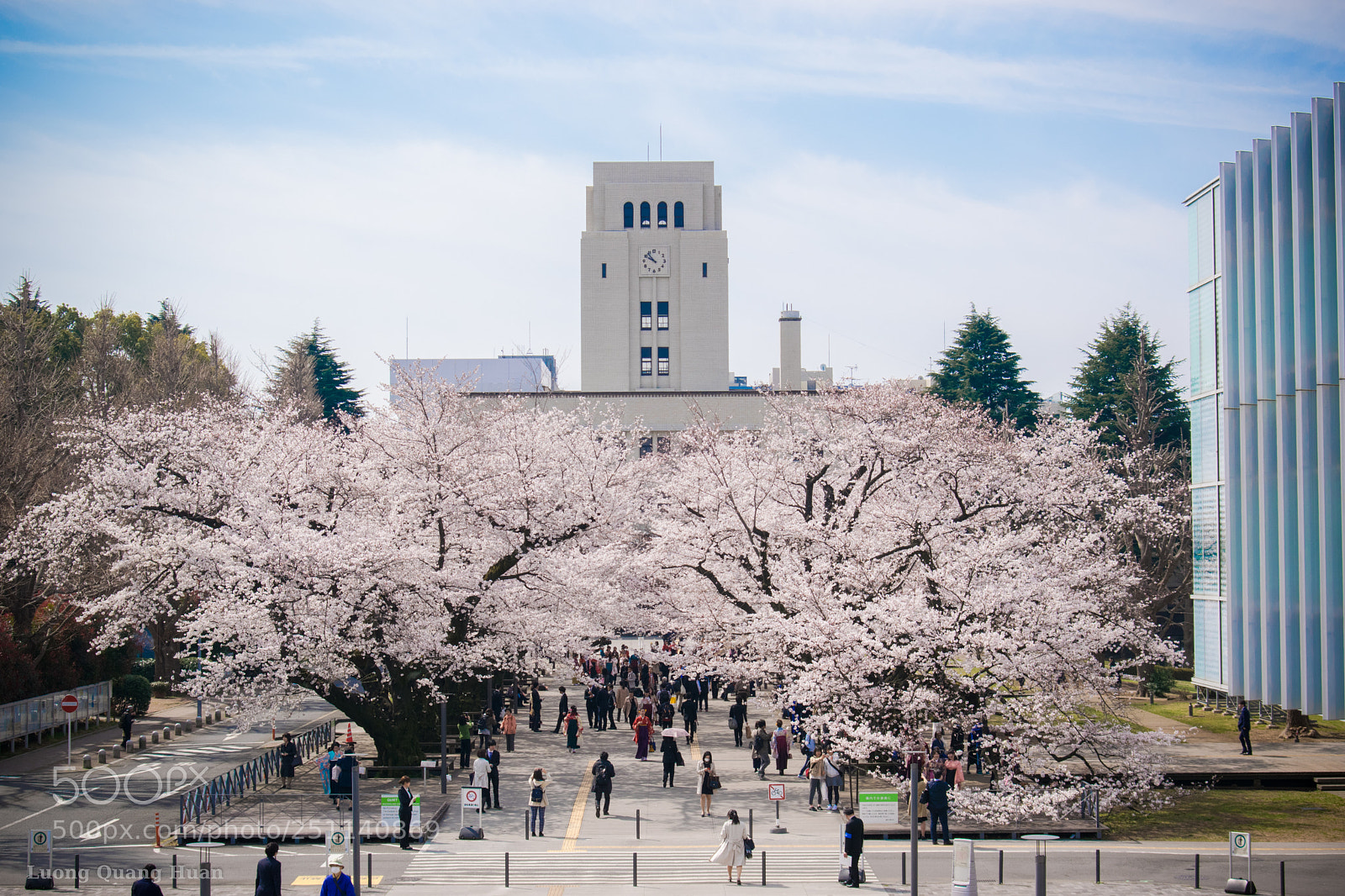 Nikon D5300 sample photo. Graduation ceremony at tokyo photography