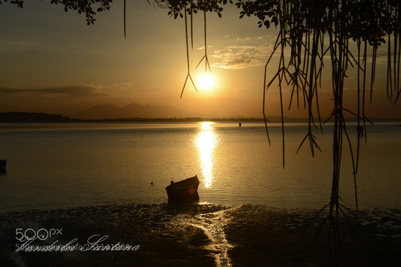 Nikon D7100 sample photo. Untitled photography